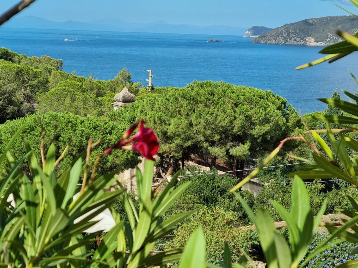 Appartamenti La Conchiglia Capoliveri  Esterno foto